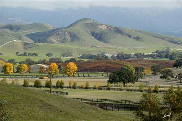 Santa Ynez Valley image