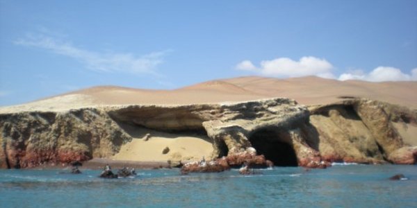 Paracas - Islas Ballestas