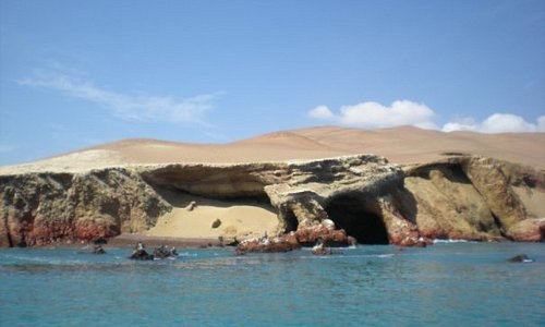 Paracas - Islas Ballestas
