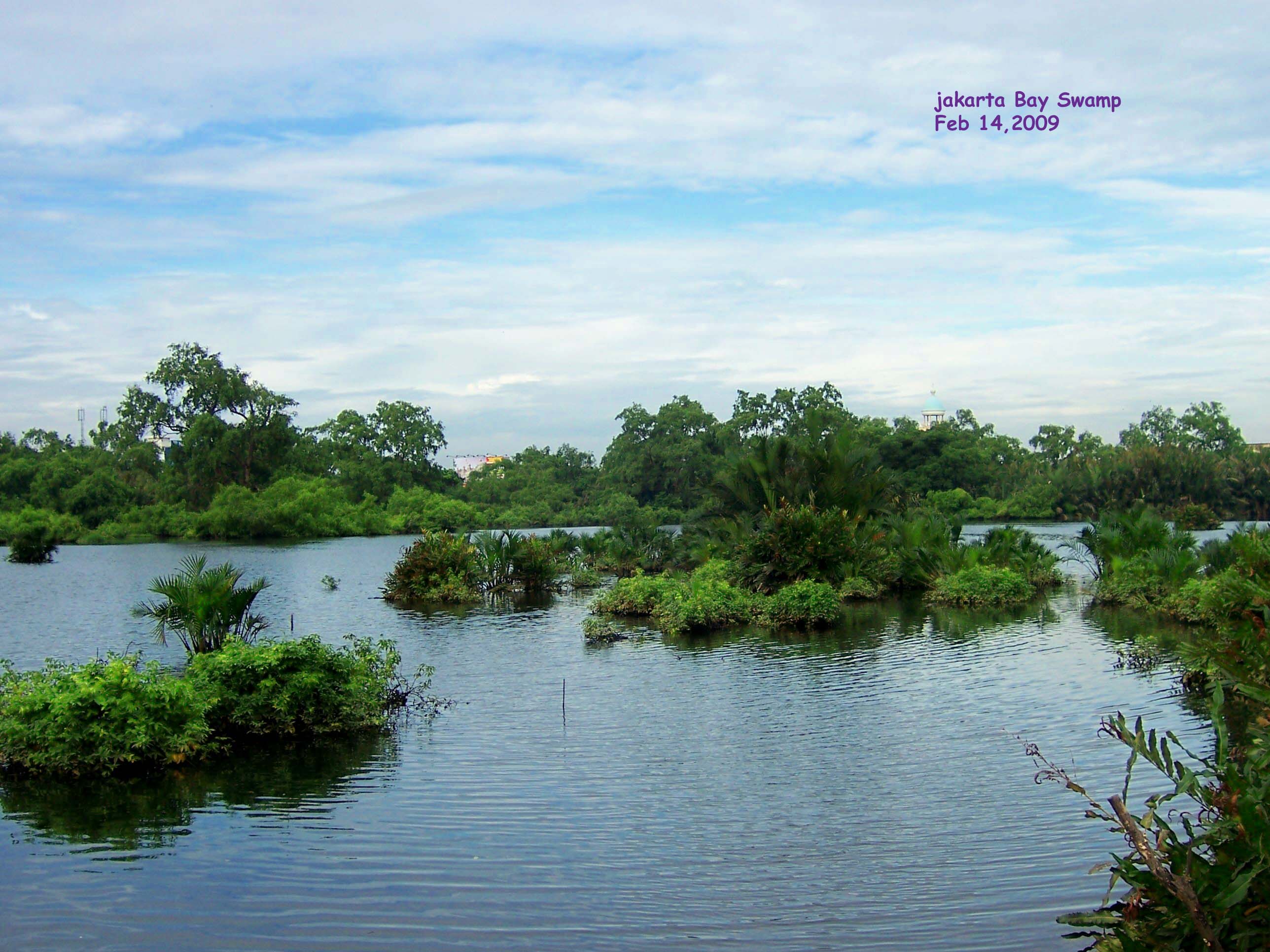 Teluk Jakarta Indonesia Review Tripadvisor