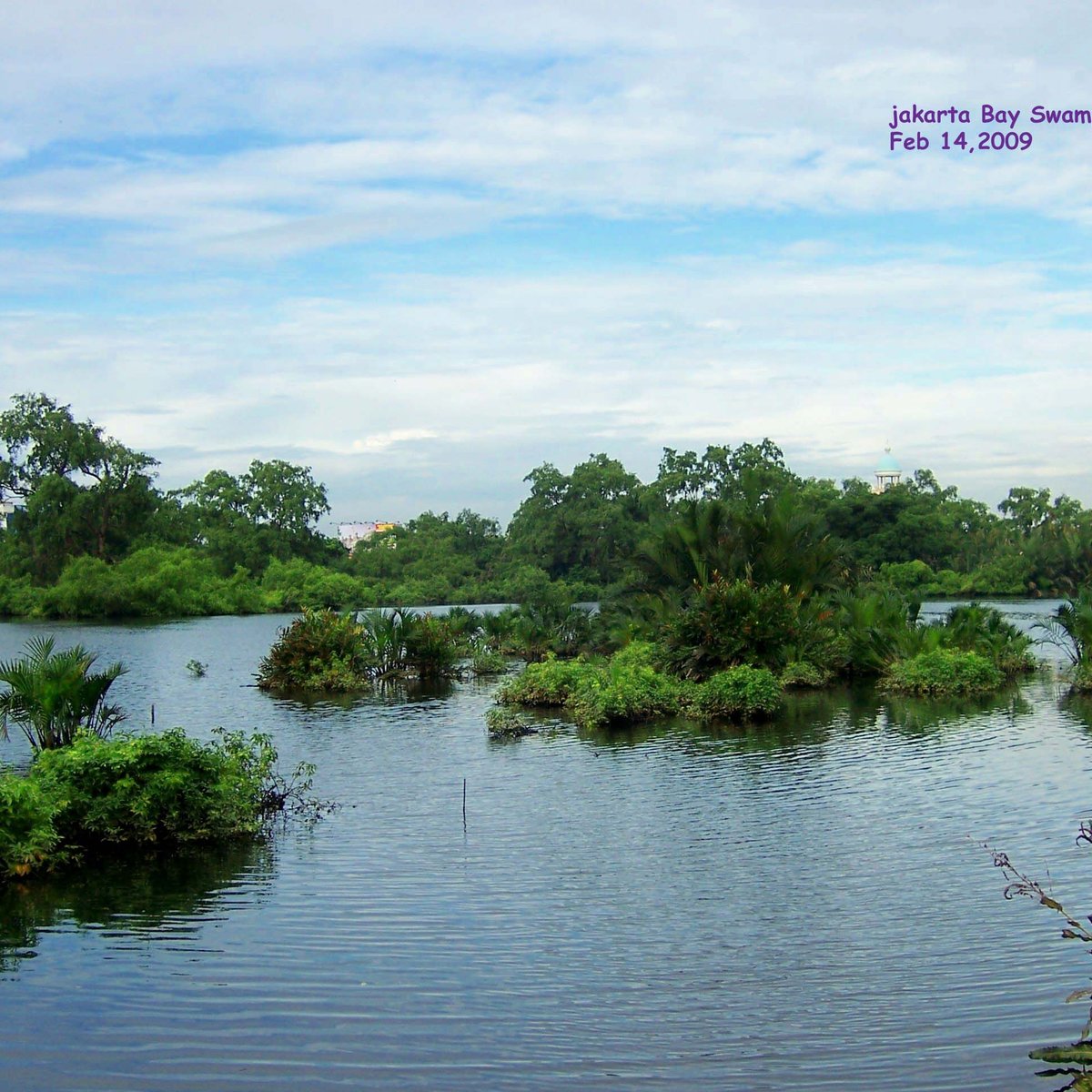 JAKARTA BAY (2025) All You Need to Know BEFORE You Go (with Photos ...