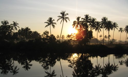 Sun shades@ baga