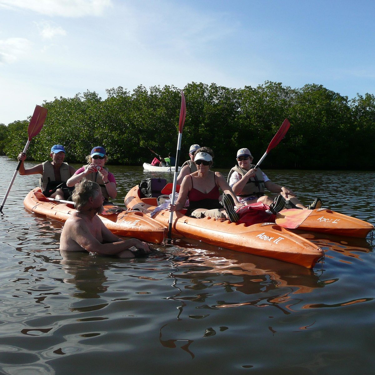 biobay tours vieques