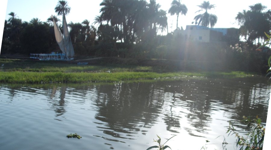 Luxor, Banana island