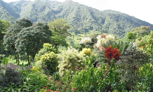 A view of the mountains as seen from the garden