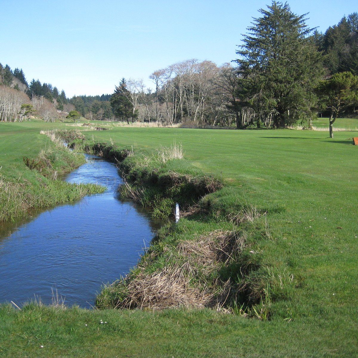 Sunset Bay Golf Course (Coos Bay) 2022 Lo que se debe saber antes de