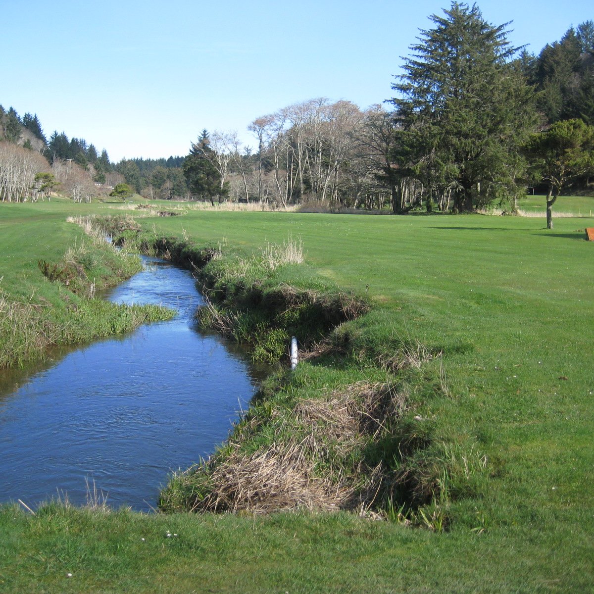 Sunset Bay Golf Course (Coos Bay) 2022 Alles wat u moet weten VOORDAT