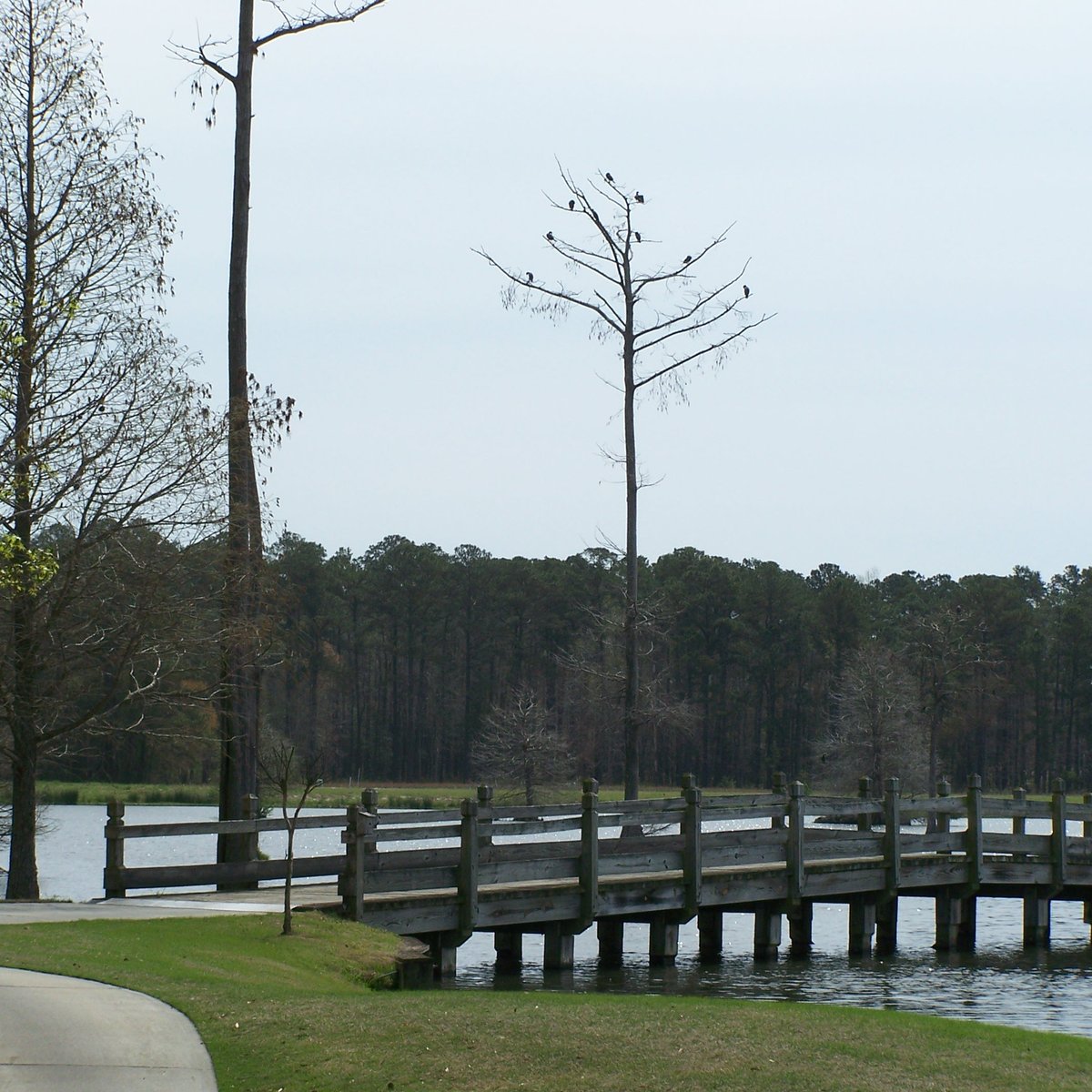 Crow Creek Golf Course (Calabash) All You Need to Know BEFORE You Go