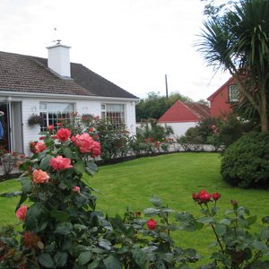 Gorgeous Rose Gardens
