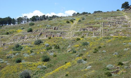 Solunto - la pianta ortogonale della cittadella