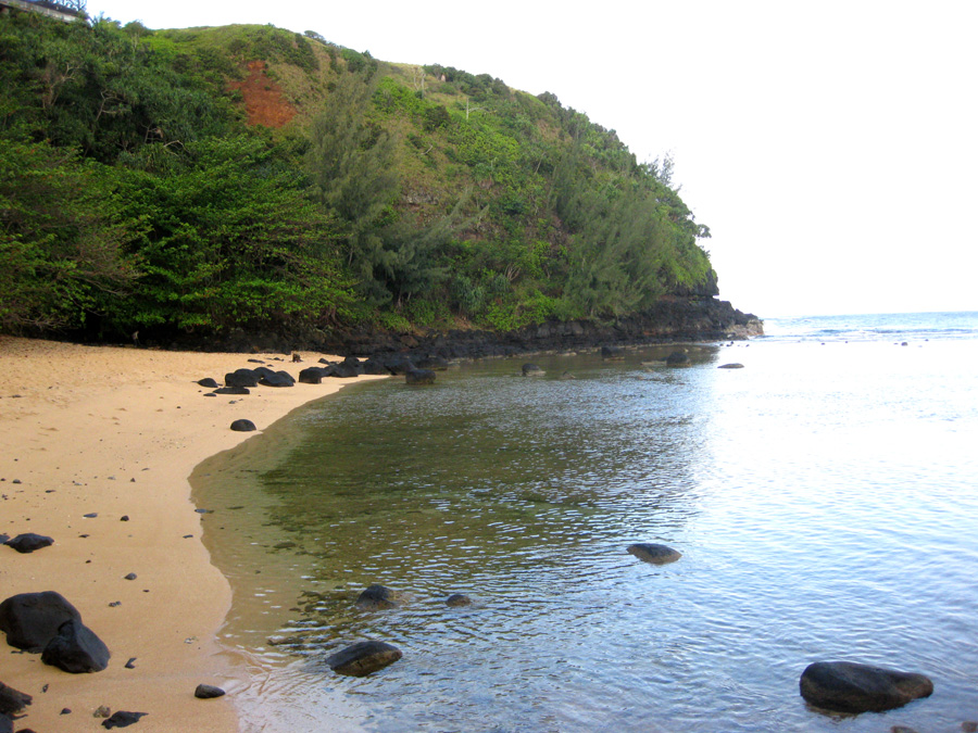 Discover Sealodge Beach in Princeville, HI: A Hidden Paradise