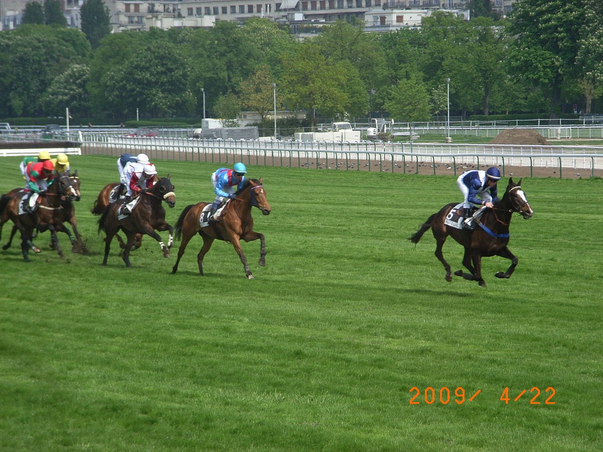 Paris Race & Sports Book - Showtimes & Reviews