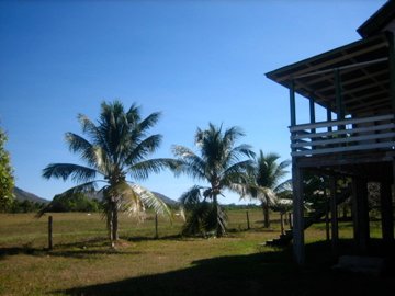 the view from the room/house