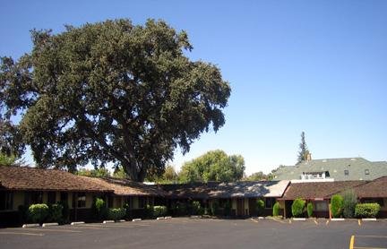 Melody Ranch