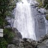 Top 10 Tours in El Yunque National Forest, El Yunque National Forest