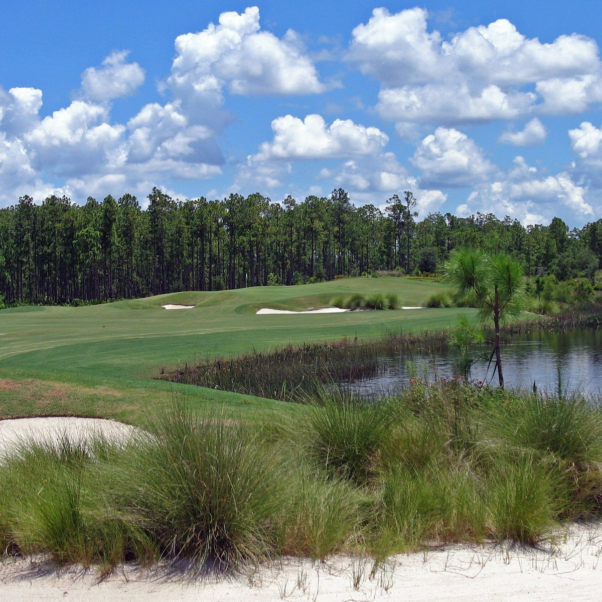 OLD CORKSCREW GOLF CLUB (Estero) Ce qu'il faut savoir OLD CORKSCREW GOLF CLUB (Estero) Ce qu'il faut savoir
