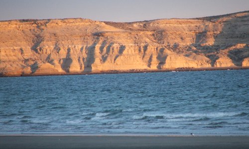 View from Puerto Piramides
