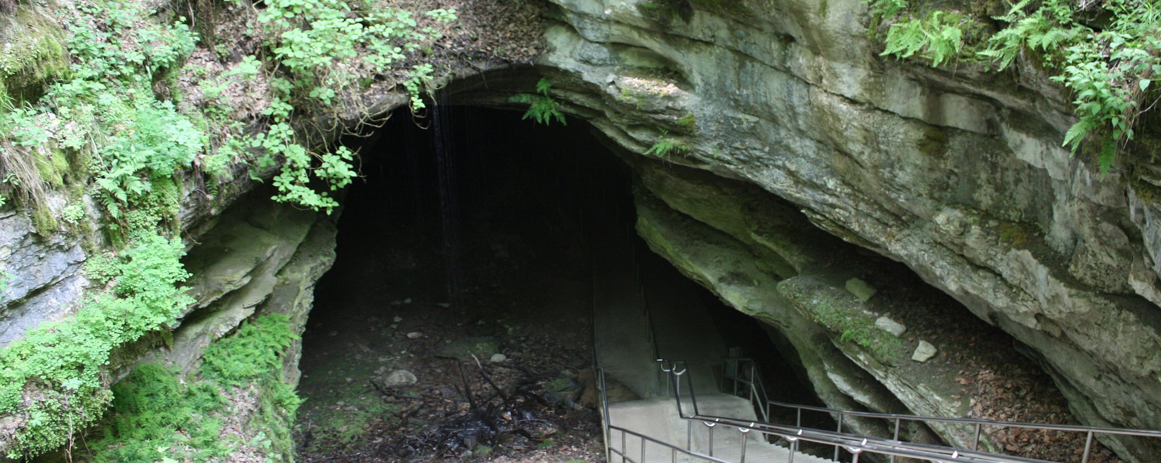 Национальный парк Мамонтова пещера Кентукки 2022 все самое лучшее