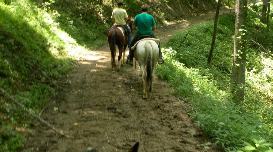 trail