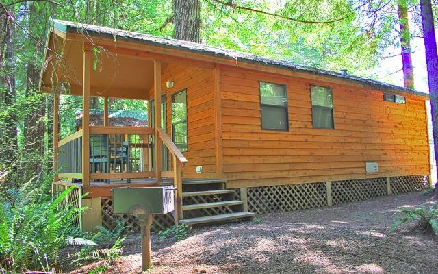 Luxury cabins in the Redwood forest