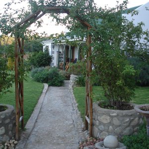 The garden