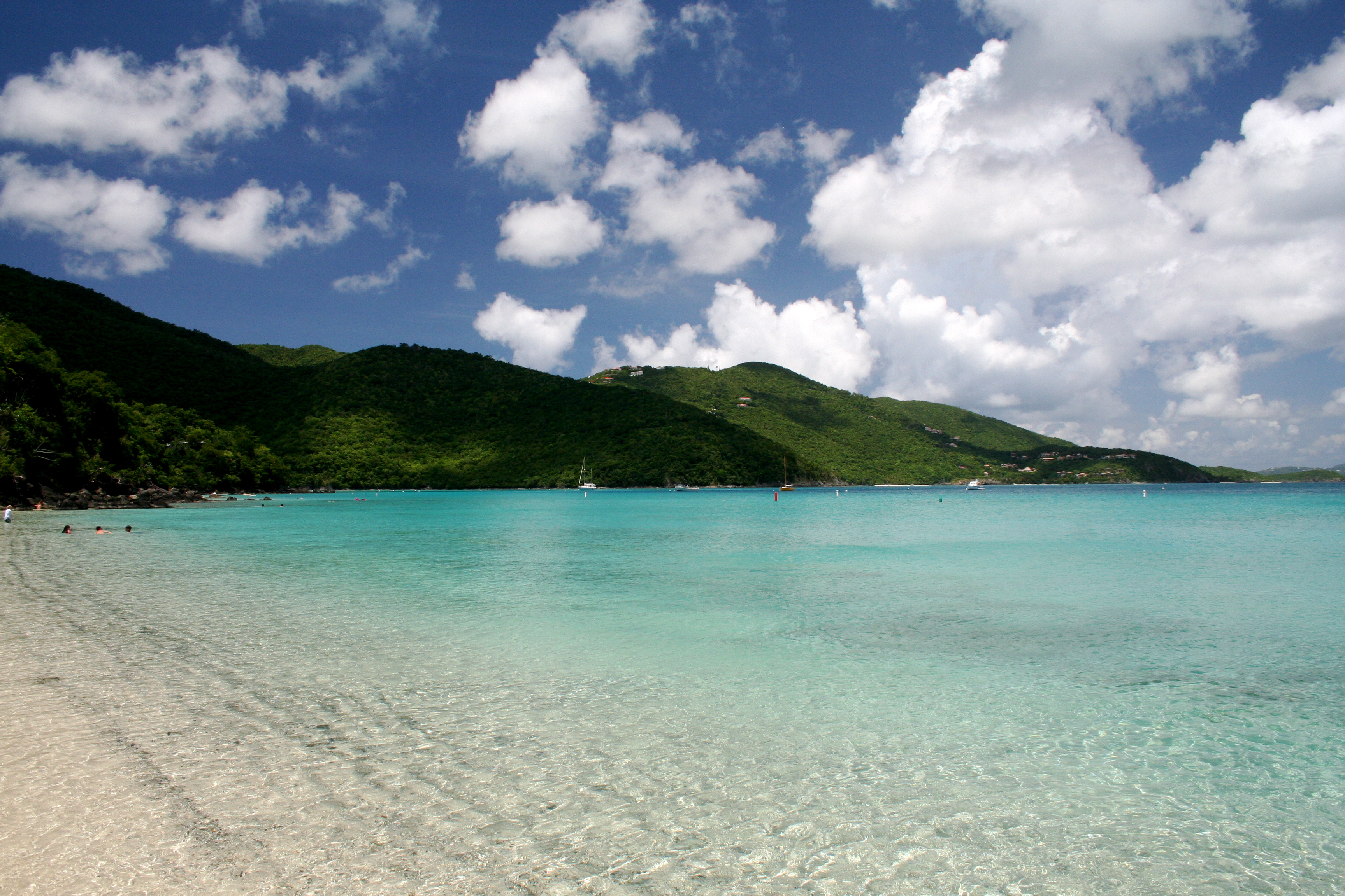 Francis Bay Beach St. John USVI: A Tropical Paradise Awaits