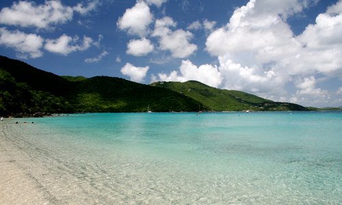 Francis Bay