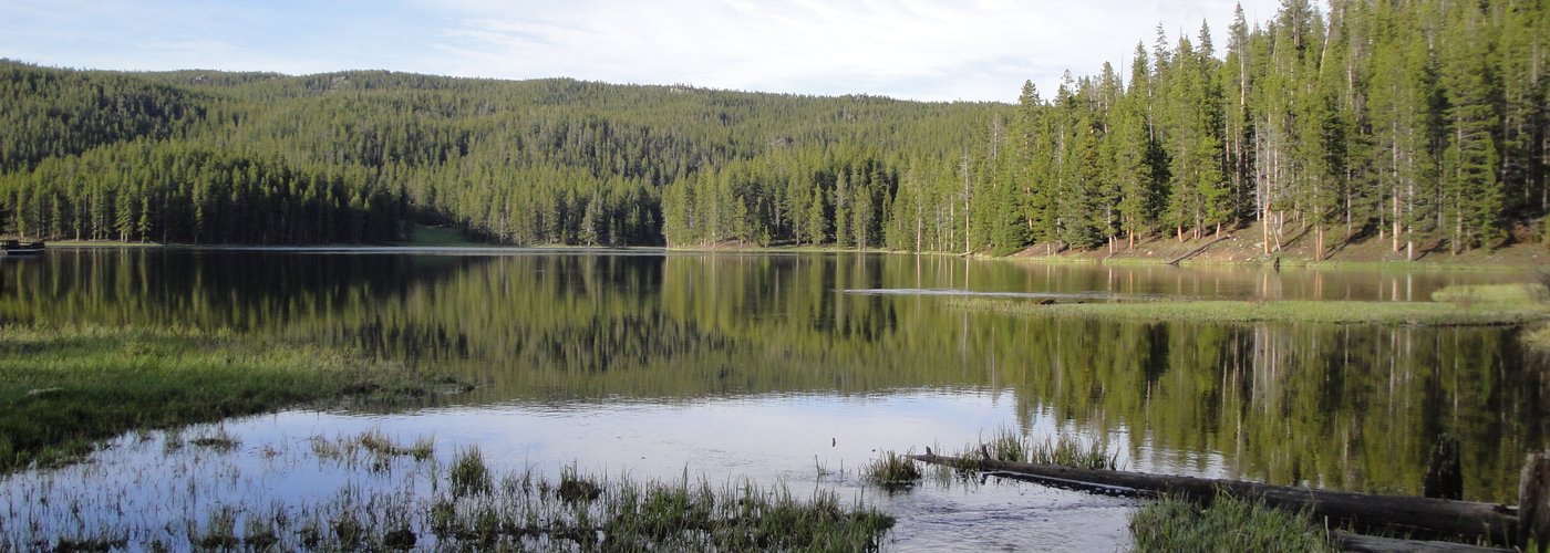 Sibley Lake - in Bighorn NF