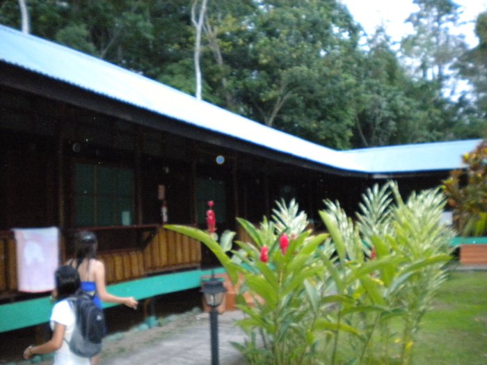 intersección Permanecer de pié impuesto HOTEL EL PIZOTE LODGE (Puerto Viejo, Costa Rica - Limón): opiniones y  precios