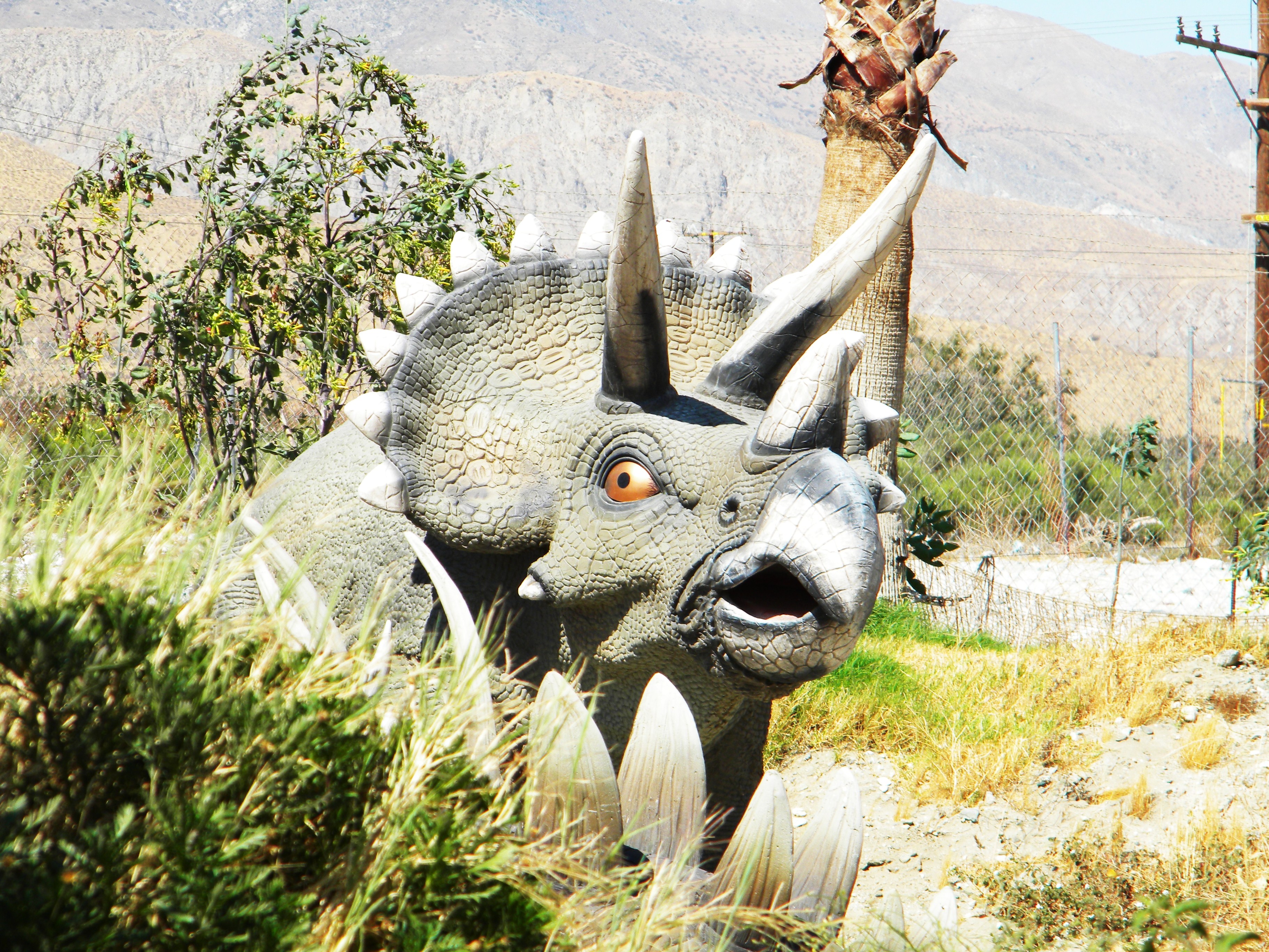 Dinosaur Truck Stop - All You Need to Know BEFORE You Go (with Photos)