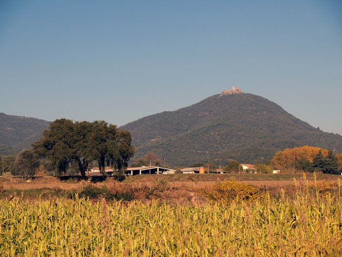 Imagen 5 de Castell de Montsoriu