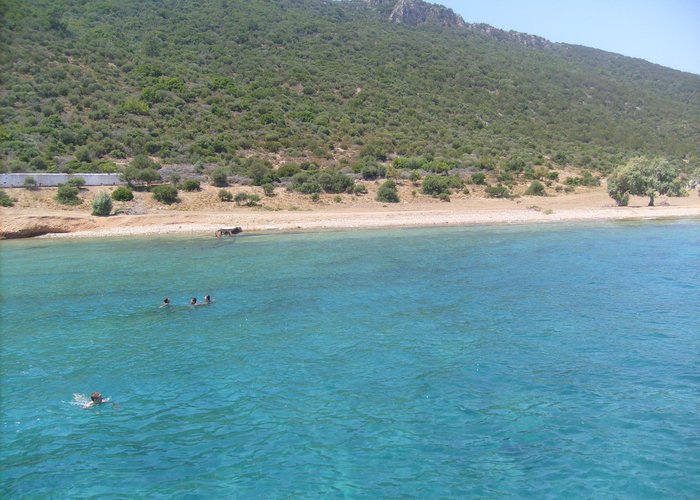 blue sea