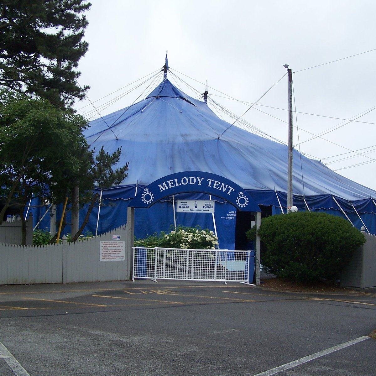 Cape Cod Melody Tent 2024 Season Eddi Marrilee