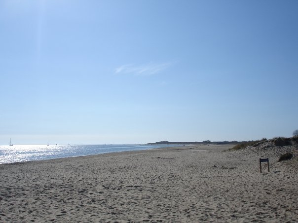 Shell Beach (Isle of Purbeck) - All You Need to Know BEFORE You Go