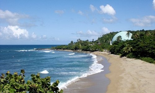 tour in rincon puerto rico