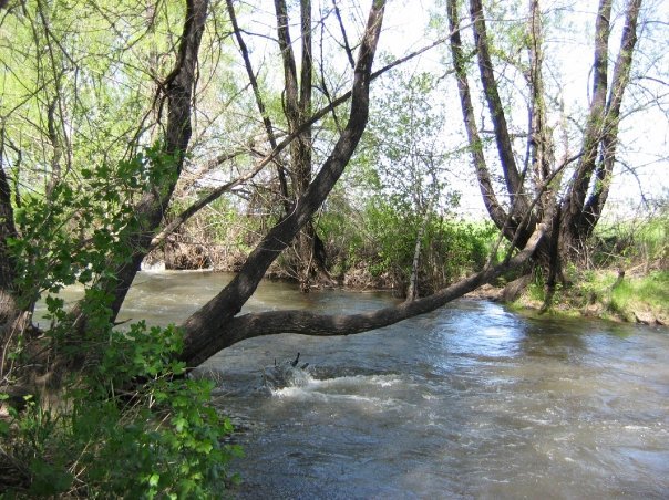 Selah-Naches Valley image