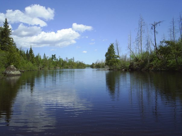 Poplar Lake image