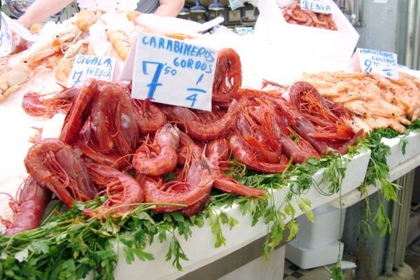 Gambas