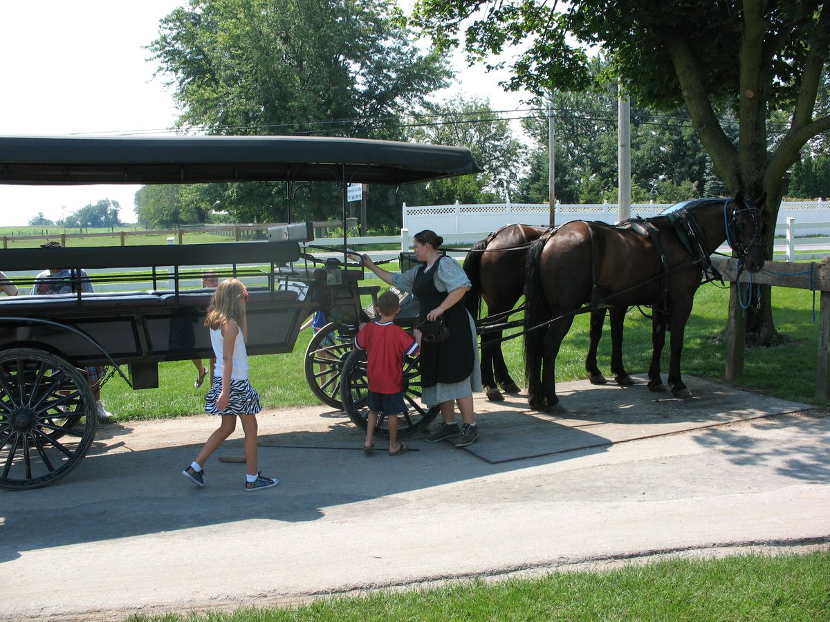 Aaron & Jessica's Buggy Rides - All You Need to Know BEFORE You Go (2025)