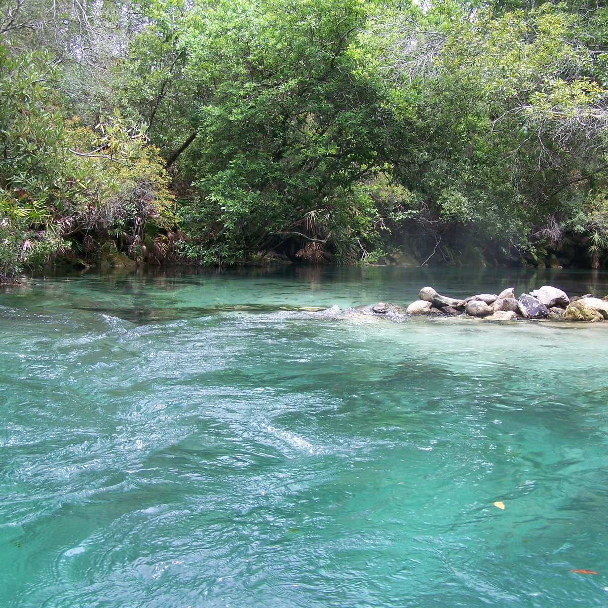 Weeki Wachee Springs State Park Florida