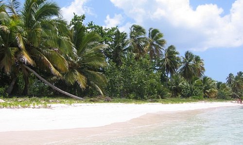 Isla Saona, Caraibi