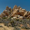 Things To Do in Joshua Tree National Park Customized Guided Hiking Tour, Restaurants in Joshua Tree National Park Customized Guided Hiking Tour