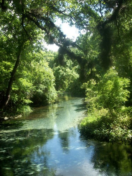 Escape To Serenity: A Guide To Rock Springs Run State Reserve