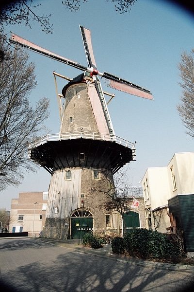 Red Lion Windmill (Molen De Roode Leeuw) image