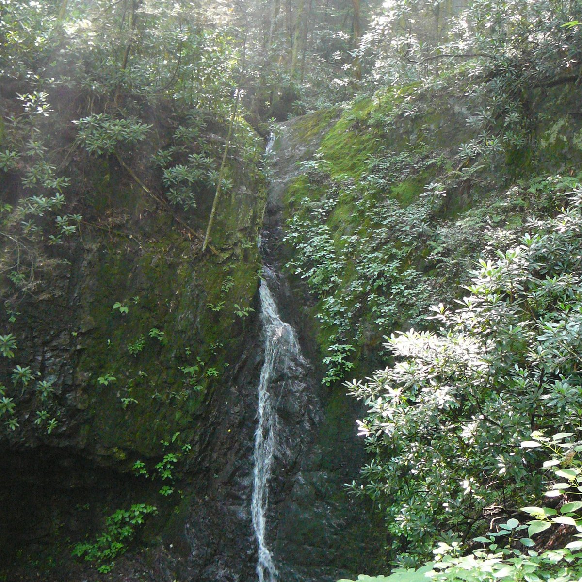 Backbone Rock Waterfall - All You Need to Know BEFORE You Go (2024)