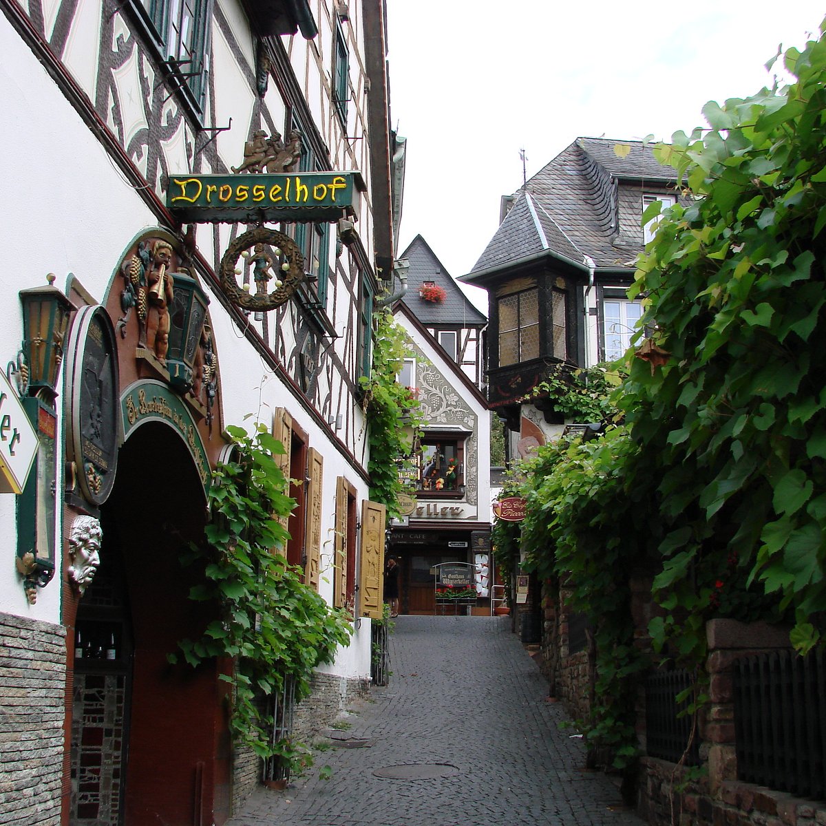 Hure aus Rüdesheim am Rhein