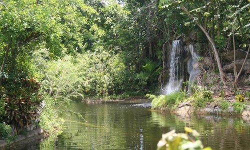 Garden of the GrovesFreeport Grand Bahama