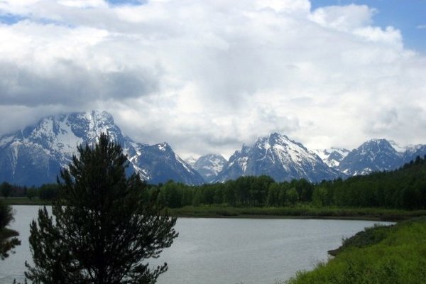 are dogs allowed in grand teton national park