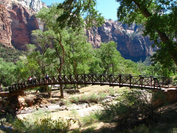 ZION SHUTTLE Zion National Park 2022 What To Know BEFORE You Go   Zion Shuttle 