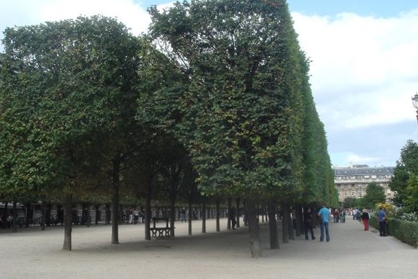 Jardin du Palais Royal